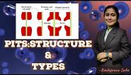 Pits | Structure and function | Types of pits | SNEBS BIOLOGY | snebs biology