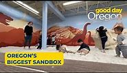 Dig up the fun at DiG PDX, Oregon's largest indoor sandbox
