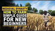 Medieval Dynasty - How to Farm and Grow Crop