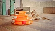 The 5 Best Interactive Cat Toys for Bored Cats In 2024 - Cats.com