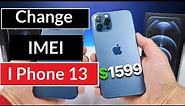 Change IMEI number iPhone 13 Pro Max in Hindi | 2023