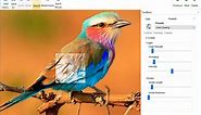 Photo to Sketch Converter Software - Free Download