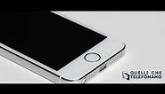 iPhone 5S Review