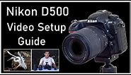Nikon D500 Video Setup Guide - How I Setup My Camera