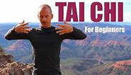 7 Tai Chi Moves for Beginners | 15 Minute Daily Taiji Routine