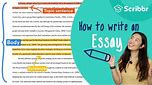 How to Write an Essay: 4 Minute Step-by-step Guide | Scribbr 🎓