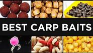 20 Carp Baits + Where and How to Use Them