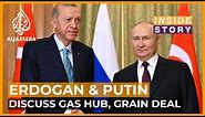 What did Putin and Erdogan discuss in Sochi? | Inside Story