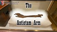 Artifact - The Antietam Arm