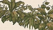 Dundee Deco DDAZBD9273 Peel and Stick Wallpaper Border - Abstract Green Plants on a Vine Wall Border Retro Design, 15 ft x 7 in (4.57m x 17.78cm), Self Adhesive