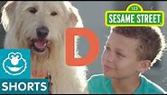 Sesame Street: Meet Digby the Dog