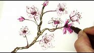 Easy How to Draw a Sakura Cherry Blossom Branch