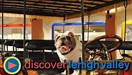 Lehigh Valley Visions : Mack Truck Historical Museum (with Mack the Bulldog)