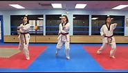 Taekwondo Basic Form 1