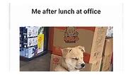 Radio City - Me everyday after lunch at work 😂 . . . . . ....