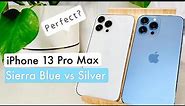 Iphone 13 Pro Max Sierra Blue vs Silver Review (1 month later!)