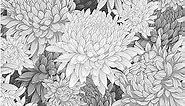 Blooming Wall DPYC33 Gray Elegant Chrysanthemum Peel and Stick Wallpaper Self-Adhesive Prepasted Wallpaper Wall Decor (17.7“x118”, Black)