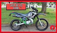 2004 Yamaha DT 125X - LAST OF ITS KIND!🗝️ Ride & Review!