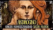 El ANDRÓGINO ❗el origen de la (HOMOSEXUALIDAD y HETEROSEXUALIDAD) según los griegos - Logomaquia