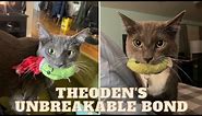 Meet Theoden: The Cat Who Carries His Pickle Everywhere!