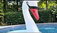 Swan Pool Floats for Pool Fun and Floating Pool Decorations