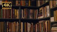 Books Shelves Library Reading by Continuous 4K | no copyright stock video footage