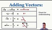 Labeling Vectors and Adding Vectors Using the Tip to Tail Method - IB Physics