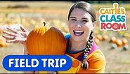 Let's Visit A Pumpkin Patch! | Caitie's Classroom Field Trips | Learn How To Make A Jack O'Lantern