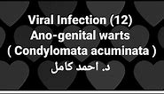 12- Ano-genital warts ( Condylomata acuminata ) 👉Viral Infection by Dr Ahmed Kamel