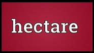 Hectare Meaning