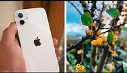 iPhone 12 FULL Camera Test - STUNNING Results!