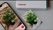 Polaroid hi print 2x3 pocket photo printer - Complete Setup, Install & Print Photos using iPhone.
