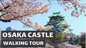 SAKURA (CHERRY BLOSSOM) AT OSAKA CASTLE - JAPAN - SPRING 2021
