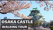 SAKURA (CHERRY BLOSSOM) AT OSAKA CASTLE - JAPAN - SPRING 2021