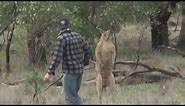 Man saves his dog from 'jacked' kangaroo