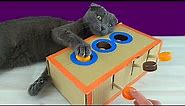How To Make a Amazing Cat Toy from Cardboard / DIY Cat Toy