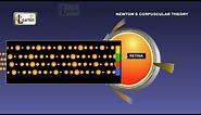 Physics - Newton's corpuscular theory of light - Science