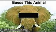 r/Terriblefacebookmemes | wrong answers only