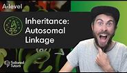 Inheritance: Autosomal Linkage | A-Level Biology Tutorial