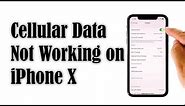iPhone X Cellular Data Not Working After iOS 14.2