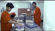 Paragon Poultry Sector (Bangla) | Paragon Group| Bangladesh