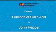 Function of Sialic Acid | John Pepper