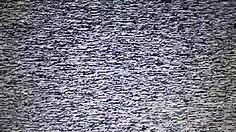 [10 Hours] - No Signal - TV Static Noise - White Noise - FullHD 🤔😱