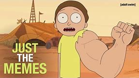Just the Memes | Rick and Morty | adult swim