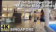 The Shoppes at Marina Bay Sands Singapore | Walking tour around in this Luxury Shopping Mall in 4K