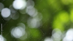 Bokeh background and fine flying dust effect, Template for advertising text