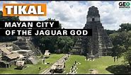 Tikal: The Mayan City of the Jaguar God