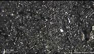 Activated carbon tablet under microscope
