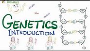 Introduction to Genetics - Biology