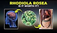 Rhodiola Rosea 🌿| Things You Need to Know (2023) #rhodiola